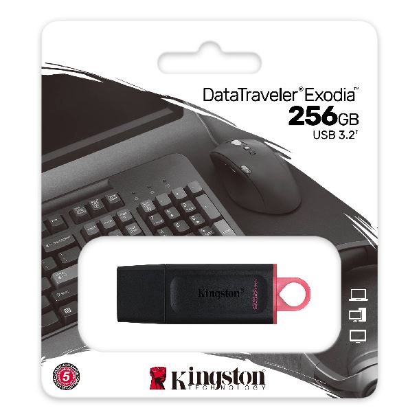PEN DRIVE KINGSTON 256GB